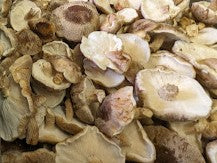 Mushrooms - Shiitake (200g)