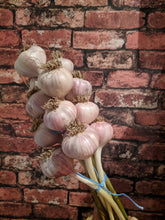 Load image into Gallery viewer, Garlic Braid - Cluster - Coming soon!