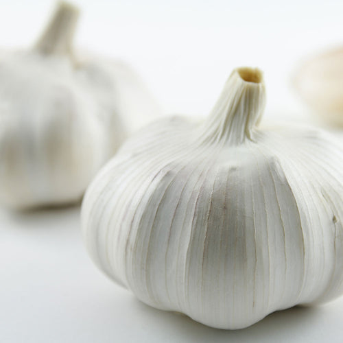Sold Out! Organic Garlic by the Bulbs- Portuguese Azores - COMING SOON