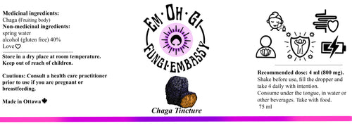 Mushroom Tincture - Chaga