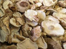 Mushrooms - Shiitake (200g) (subject to availability)