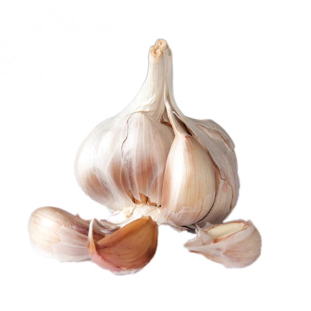 Garlic Bulbs by the LBS - Music